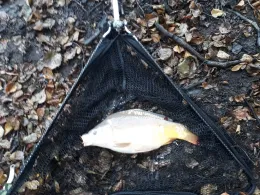 Krebskuhle (Lübeck)-3