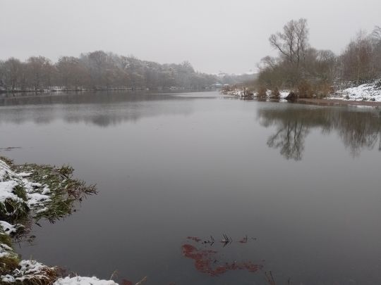 Elsterflutbett (Leipzig)-2