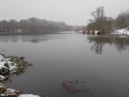 Elsterflutbett (Leipzig)-2