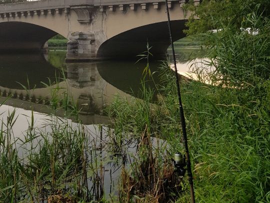 Elsterflutbett (Leipzig)-4