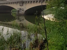 Elsterflutbett (Leipzig)-4