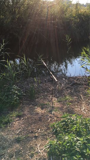 Altmühl (Großenried)-1