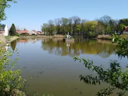 Dorfteich Gräfendorf-4