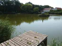 Dorfteich Gräfendorf-3