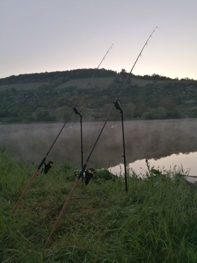 Main (Veitshöchheim)-1