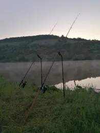 Main (Veitshöchheim)-1