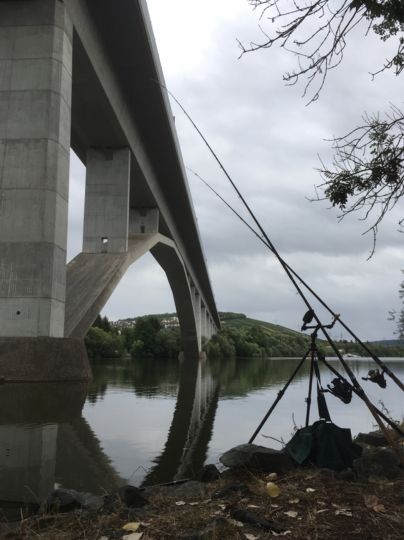 Main (Veitshöchheim)-2