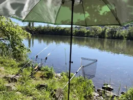 Main (Veitshöchheim)-4