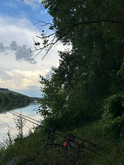 Main (Veitshöchheim)-3