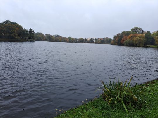 Knieperteich (Stralsund)-2