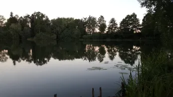 Tongrube Wenigmachern-3