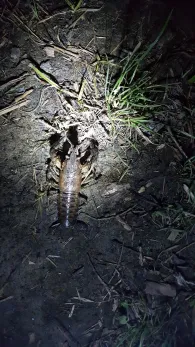 Tongrube Wenigmachern-2