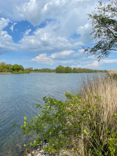 Elfrather See (Uerdingen)-2