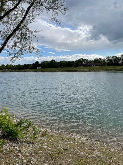 Elfrather See (Uerdingen)