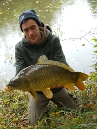 Stöckleweiher (Ettringen)