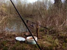 Stöckleweiher (Ettringen)-1