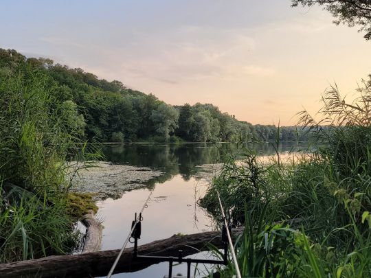 Baggersee Epple (Kirchentellinsfurt)-2