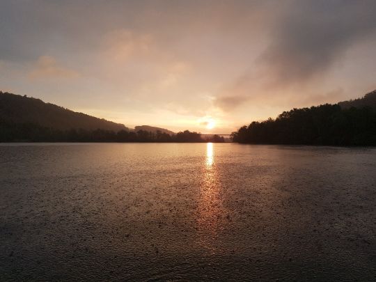 Baggersee Epple (Kirchentellinsfurt)-4