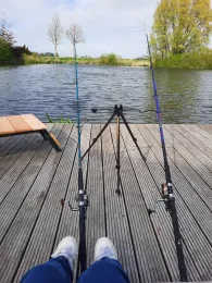 Harle (Carolinensiel)