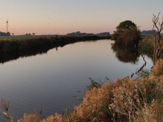 Harle (Carolinensiel)-3