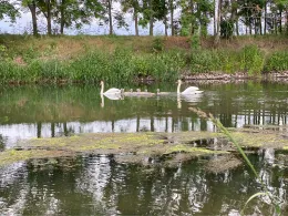 Unstrut (Nebra/Unstrut)-1