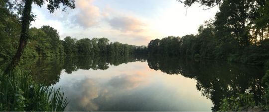 Horstsee (Stade)