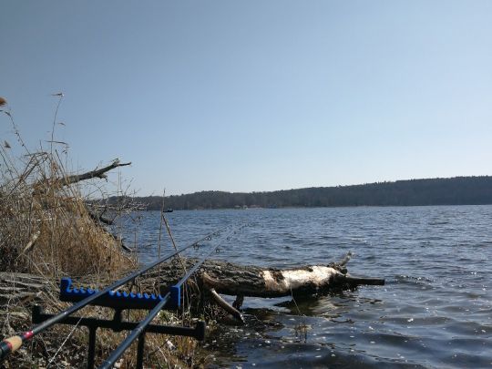 Templiner See (Potsdam)-4