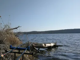 Templiner See (Potsdam)-4