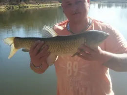 Stausee Langenweddingen-3