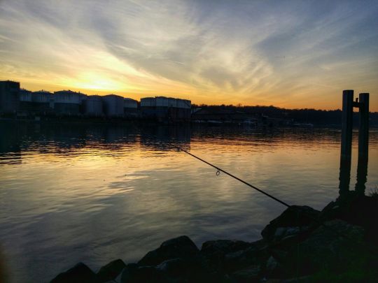 Rhein (Rheinfelden)-2