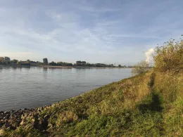 Rhein (Rheinfelden)-2