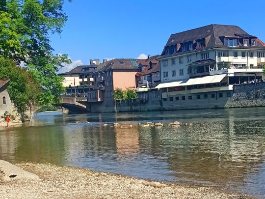 Rhein (Rheinfelden)-4