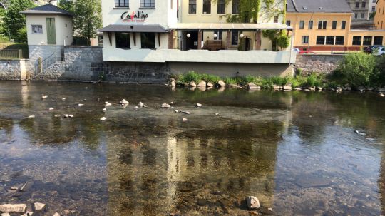 Zwickauer Mulde (Aue)-2