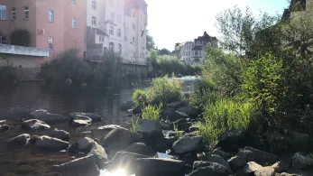 Zwickauer Mulde (Aue)-1