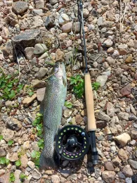 Brigach (Villingen-Schwenningen)