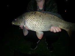 Teich Thalgarten (Querfurt)