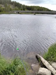 Viksjön-2