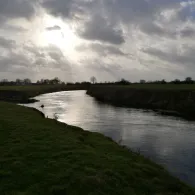 Leine (Schwarmstedt)-1