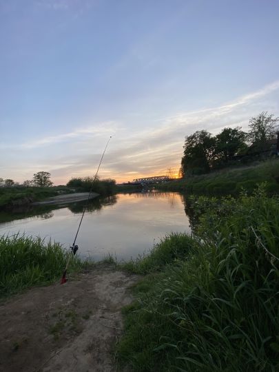 Leine (Schwarmstedt)-2