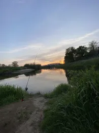 Leine (Schwarmstedt)-2