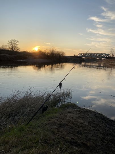 Leine (Schwarmstedt)-3