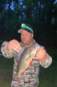 Leine (Schwarmstedt)