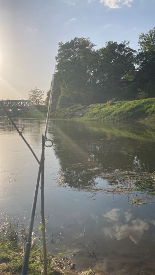 Leine (Schwarmstedt)-4