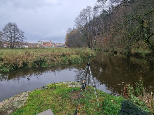 Waldnaab (Falkenberg)-4