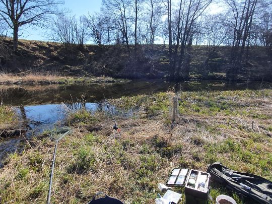 Waldnaab (Falkenberg)-3