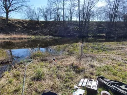 Waldnaab (Falkenberg)-3