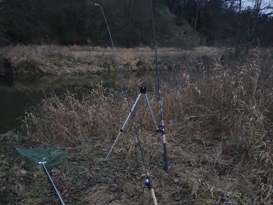 Waldnaab (Falkenberg)-1