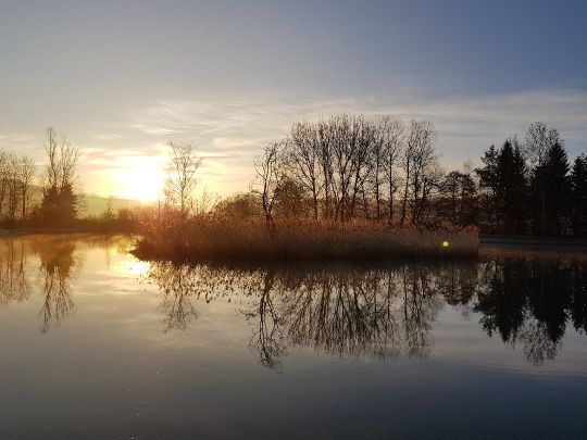 Erlensee (Irslingen)