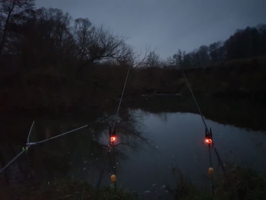 Schwarzach (Burgthann)-1