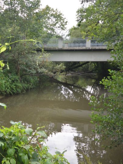 Schwarzach (Burgthann)-3